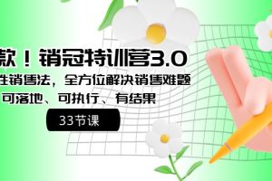 (8573期)爆款!销冠特训营3.0之顺人性销售法,全方位解决销售难题、可落地、可执…