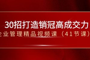 (8477期)30招-打造销冠高成交力-企业管理精品视频课(41节课)