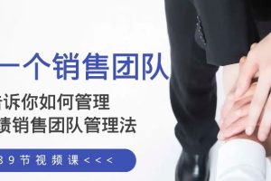 (8169期)给你 一个销售团队,告诉你如何管理,高业绩销售团队管理法(89节课)