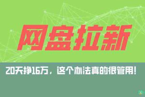 （9373期）网盘拉新+私域全自动玩法，0粉起号，小白可做，当天见收益，已测单日破5000