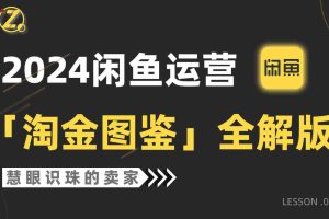 （9738期）2024闲鱼运营，【淘金图鉴】全解版