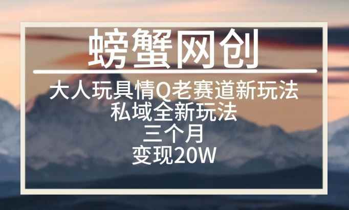 大人玩具情Q用品赛道私域全新玩法,三个月变现20W,老项目新思路【揭秘】