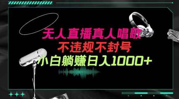 抖音24小时无人直播音乐,不违规,不封号纯撸音浪,小白实操当天日入1000+【揭秘】