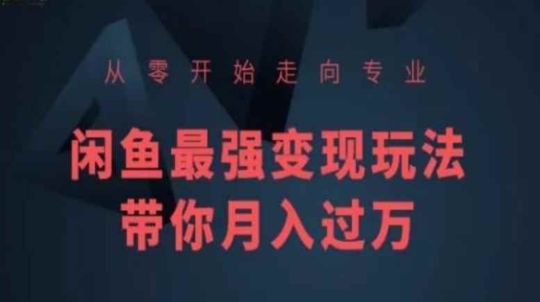 从零开始走向专业,闲鱼最强变现玩法带你月入过万