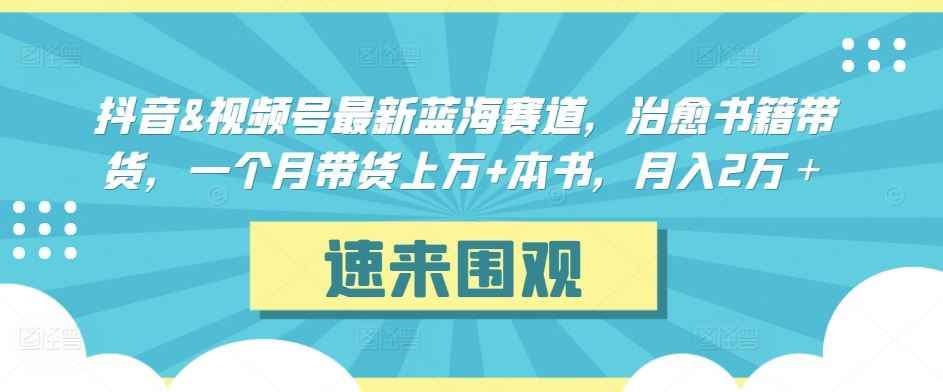 抖音&视频号最新蓝海赛道,治愈书籍带货,一个月带货上万+本书,月入2万+【揭秘】