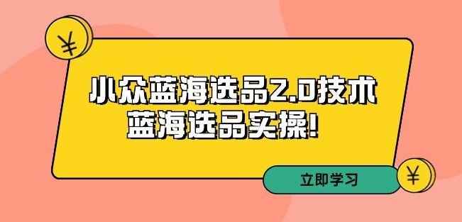 拼多多培训第33期:小众蓝海选品2.0技术-蓝海选品实操!
