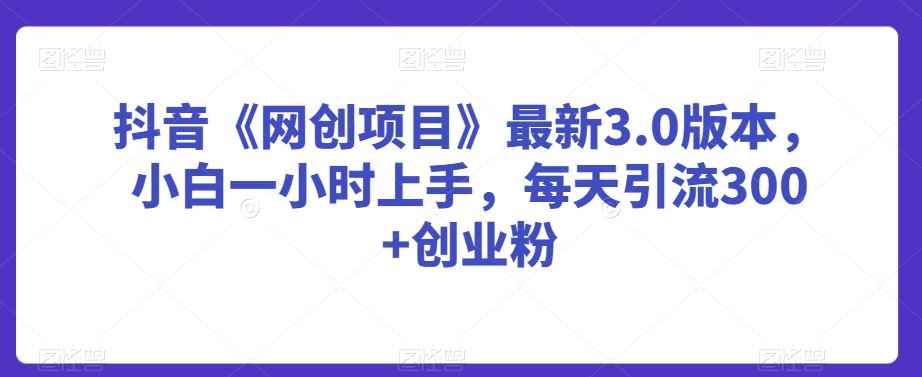 抖音《网创项目》最新3.0版本,小白一小时上手,每天引流300+创业粉【揭秘】