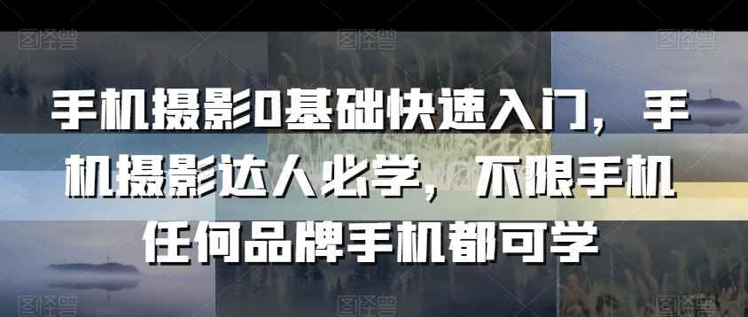 手机摄影0基础快速入门,手机摄影达人必学,不限手机任何品牌手机都可学