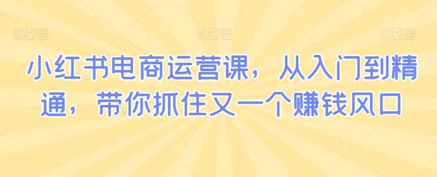 小红书电商运营课,从入门到精通,带你抓住又一个赚钱风口