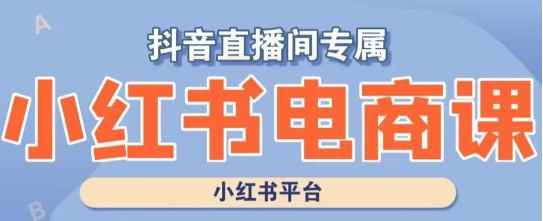 小红书电商高级运营课程，实操教学+案例分析