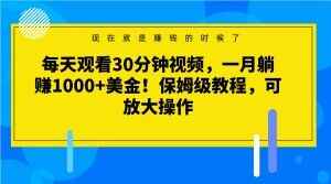 每天观看30分钟视频,一月躺赚1000+美金!保姆级教程,可放大操作【揭秘】