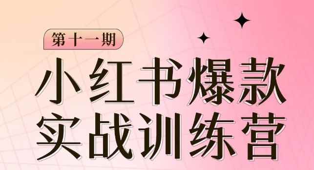 小红书博主爆款训练营第11期,手把手教你从0-1做小红书,从定位到起号到变现 小红书博主爆款训练营第11期,手把手教你从0-1做小红书,从定位到起号到变现