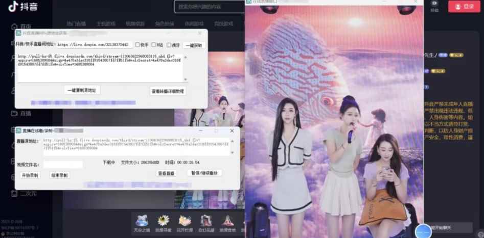 【高端精品】最新电脑版抖音/快手/B站直播源获取+直播间实时录制+直播转播软件【全套软件+详细教程】