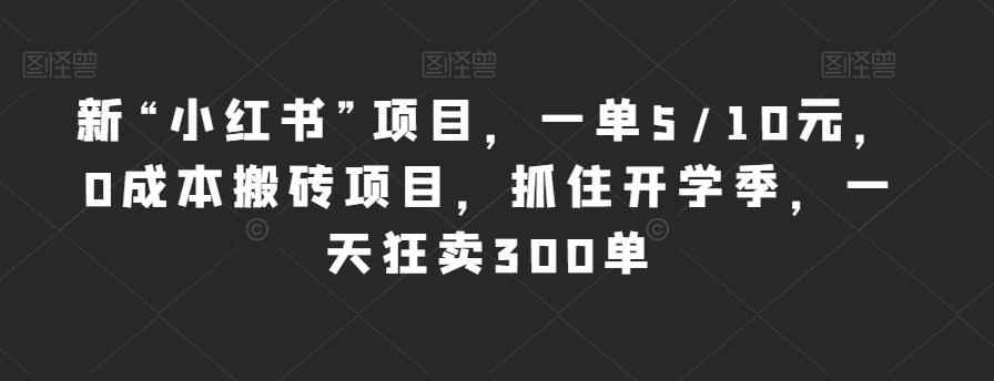 新“小红书”项目，一单5/10元，0成本搬砖项目，抓住开学季，一天狂卖300单【揭秘】