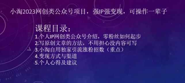 小淘2023网创类公众号项目，强IP强变现，可操作一辈子