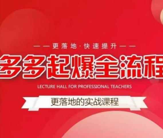 互力-多多新品打爆全流程，拼多多14天拉搜索自然流量，更落地·快速提升