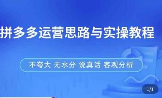 拼多多店铺运营思路与实操教程，快速学会拼多多开店和运营，少踩坑，多盈利