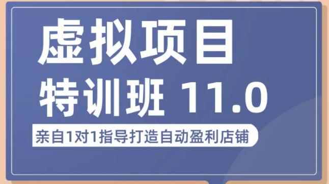 陆明明·虚拟项目特训班（10.0+11.0），0成本获取虚拟素材，0基础打造自动盈利店铺