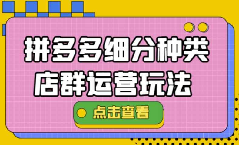 拼多多细分种类店群运营玩法3.0，11月最新玩法，小白也可以操作