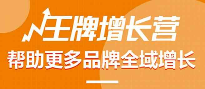 【王牌增长营】帮助更多电商品牌全域增长,月销百万实操干货,价值899元