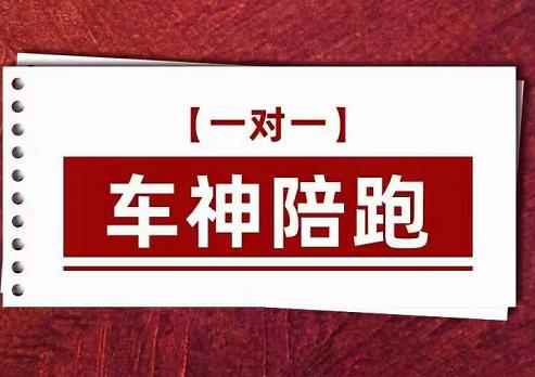 纪主任.车神陪跑，拼多多系统化课程，全新系列课+专业运营给你店铺出运营方向