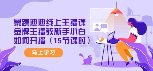 暴躁迪迪线上主播课,金牌主播教新手小白如何开播(15节课时)