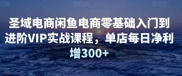 圣域电商闲鱼电商零基础入门到进阶VIP实战课程,单店每日净利增300+