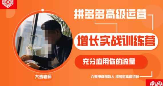 拼多多高级运营增长实战训练营,充分应用你的流量(拼多多2980元付费课程)