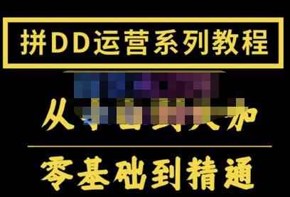 2022全套拼多多核心实操课程,从0-1轻松起链接实战,低投入高产出运作店铺