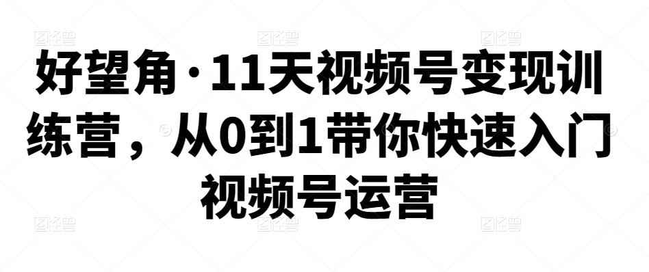 好望角·11天视频号变现训练营,从0到1带你快速入门视频号运营