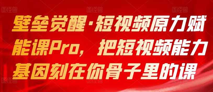 壁垒觉醒·短视频原力赋能课Pro，把短视频能力基因刻在你骨子里的课