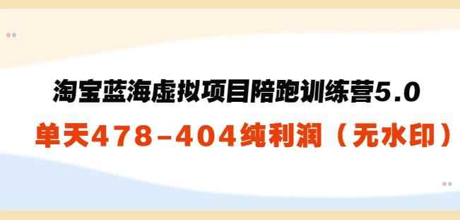 黄岛主：淘宝蓝海虚拟项目陪跑训练营5.0：单天478纯利润（无水印）