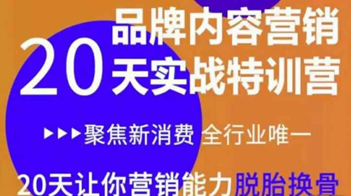《内容营销实操特训营》20天让你营销能力脱胎换骨(价值3999)