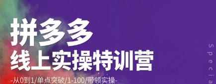 青云:拼多多运营实操特训营:从0到1/单点突破/1-100/带领实操价值2980元