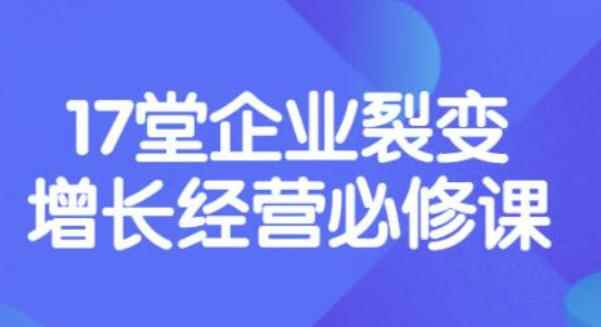 张琦《盈利增长17堂必修课》企业裂变增长的经营智慧,带你了解增长的本质