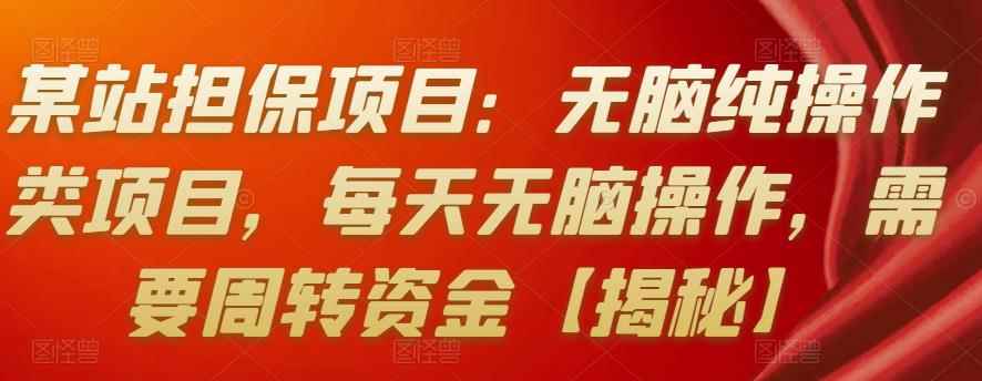 某站担保项目:无脑纯操作类项目,每天无脑操作,需要周转资金【揭秘】