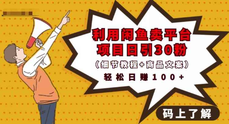 利用闲鱼卖平台项目课程资源日引流30+精准粉丝,轻松日赚100+,积累人脉可实现二次变现(细节教程+商品文案)