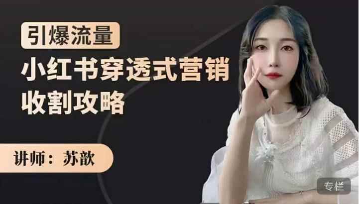 苏歆:小红书穿透式营销收割攻略,引爆流量,助你玩转小红书