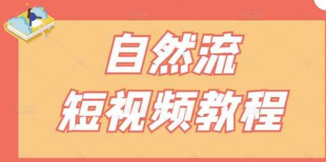 【瑶瑶短视频】自然流短视频教程,让你更快理解做自然流视频的精髓
