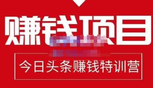 懒人领域·今日头条项目玩法,头条中视频项目,单号收益在50—500可批量