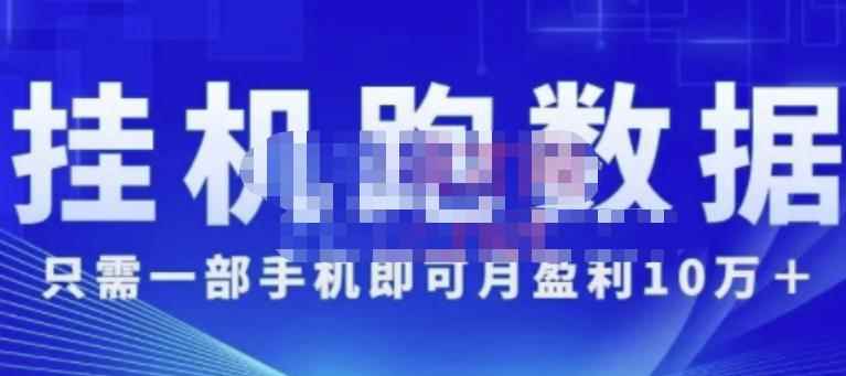 猎人电商:挂机跑数据,只需一部手即机可月盈利10万+(内玩部法)价值4988元