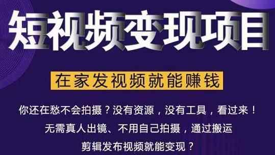 随风短视频变现项目:从0到1教你打造爆款短视频变现,在家发视频就能赚钱