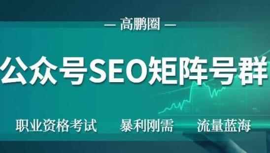 高鹏圈公众号SEO矩阵号群,实操20天纯收益25000+,普通人都能做
