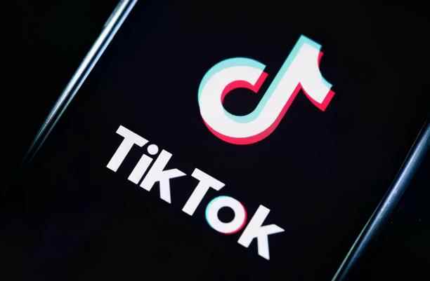 龟课·TikTok变现实战训练营线上第4期,0基础教你搬运视频,获得热门赚美金!