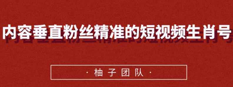 内容垂直粉丝精准的短视频生肖号,小众领域简单操作月入10000+【视频课程】