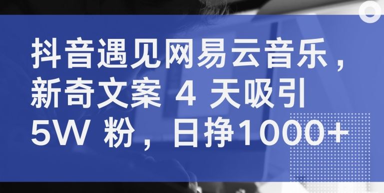 抖音遇见网易云音乐,新奇文案 4 天吸引 5W 粉,日挣1000+【揭秘】
