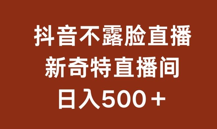 不露脸挂机直播,新奇特直播间,日入500+【揭秘】