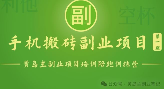 手机搬砖小副业项目训练营1.0,实测1小时收益50+,一部手机轻松日入100+