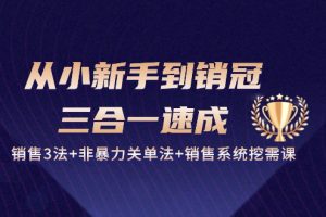 (10799期)从小新手到销冠 三合一速成:销售3法+非暴力关单法+销售系统挖需课 (27节)