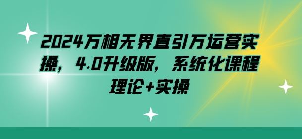 2024万相无界直引万运营实操,4.0升级版,系统化课程 理论+实操
